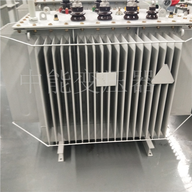 鸡西S20-800KVA变压器